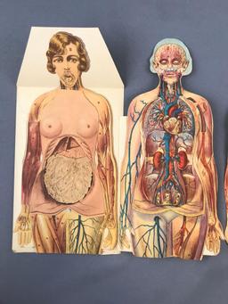 5 piece group Vintage Paper Fold Out Anatomy Mannequins and more