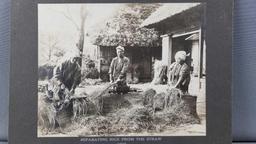 Vintage sepia photograph separating rice from straw Japan