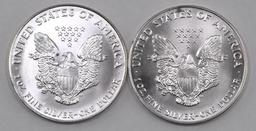 Group of (2) 1993 American Silver Eagle 1oz