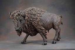 Very detailed resin, Buffalo that measures 24" tall x 36" long from tip of nose to tip of tail, poss
