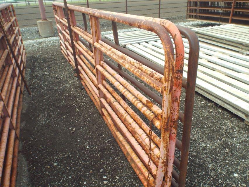 (3) 16' Pipe Gates