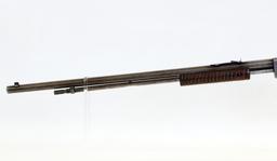 Premier Mod Trail Blazer 22 S-L-LR cal pump Rifle