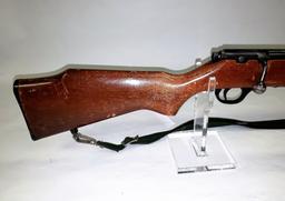 Glenfield Mod 25 22 S-L-LR cal bolt action rifle