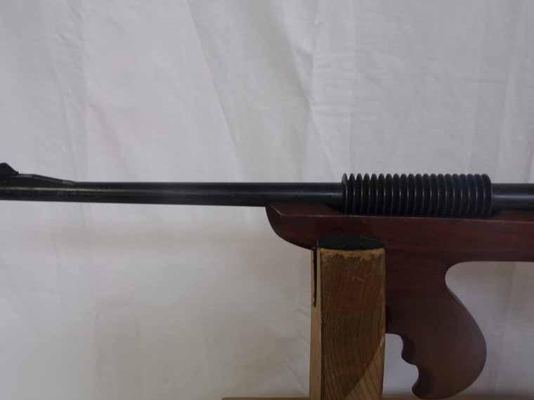 ArmAlite AR-7 22LR