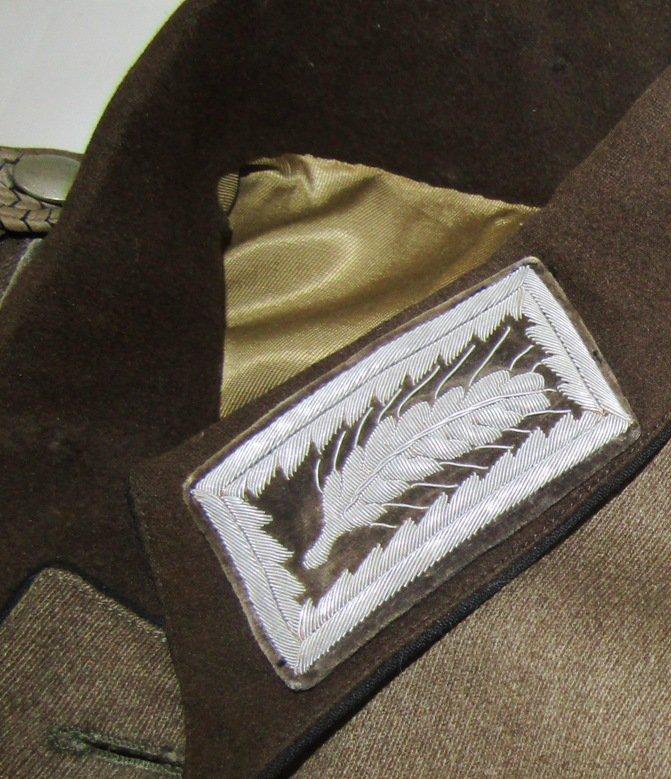 Rare! WW2 RAD OberstArbeitsFuhrer Tunic-Medical Sleeve Insignia-Bayern Hochland Gau Insignia