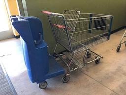 Shopping cart with the dual child carrier