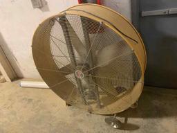 Fan