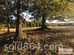 Tract #3 - 9200 Greenpond Road, Gray Court, SC