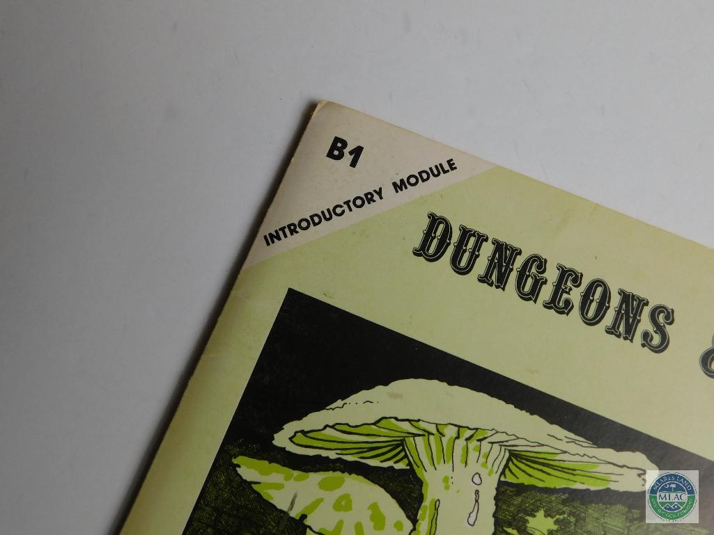 Dungeons & Dragons - Dungeon Module B1 - In Search of the Unknown