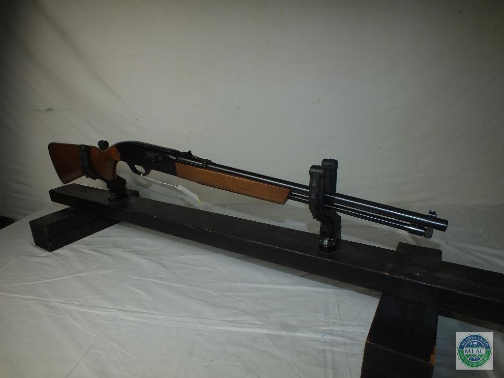 Winchester 190, .22 rifle