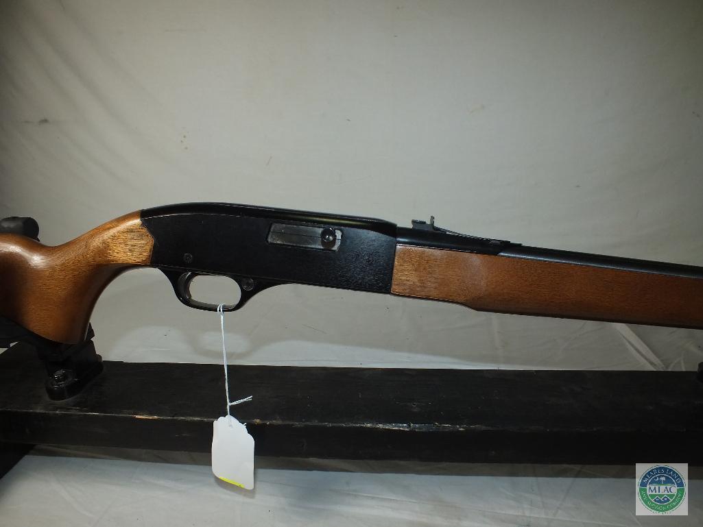 Winchester 190, .22 rifle