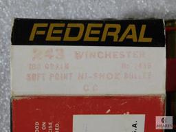 20 rounds Federal 243 ammo, 100 grain 5 rounds 300 savage ammo and brass