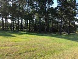 Wyboo Plantation - 403 Pinelake Court, Manning, SC 29102