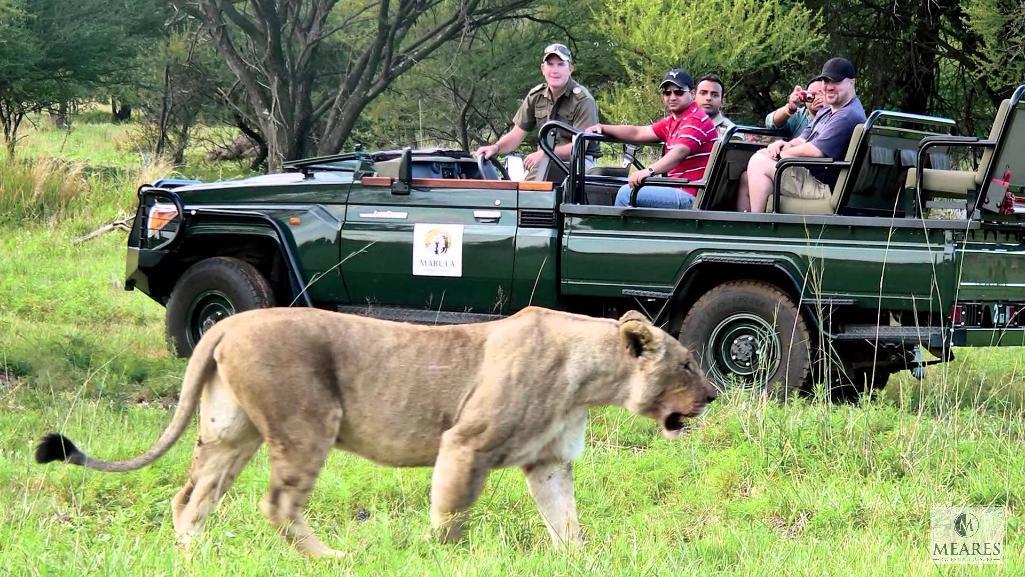 Mabula Private Game Reserve, Limpopo Province, South Africa