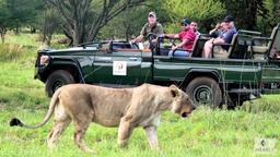 Mabula Private Game Reserve, Limpopo Province, South Africa