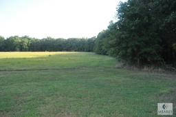 6.43 +/- Acre property adjoining 220 Due West Road, Honea Path