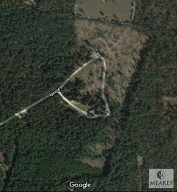 36.71+/- Acres - 302 Apricot Lane, Williston, SC