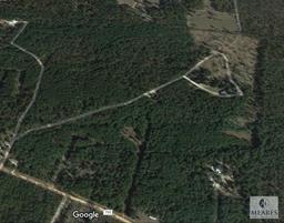 36.71+/- Acres - 302 Apricot Lane, Williston, SC