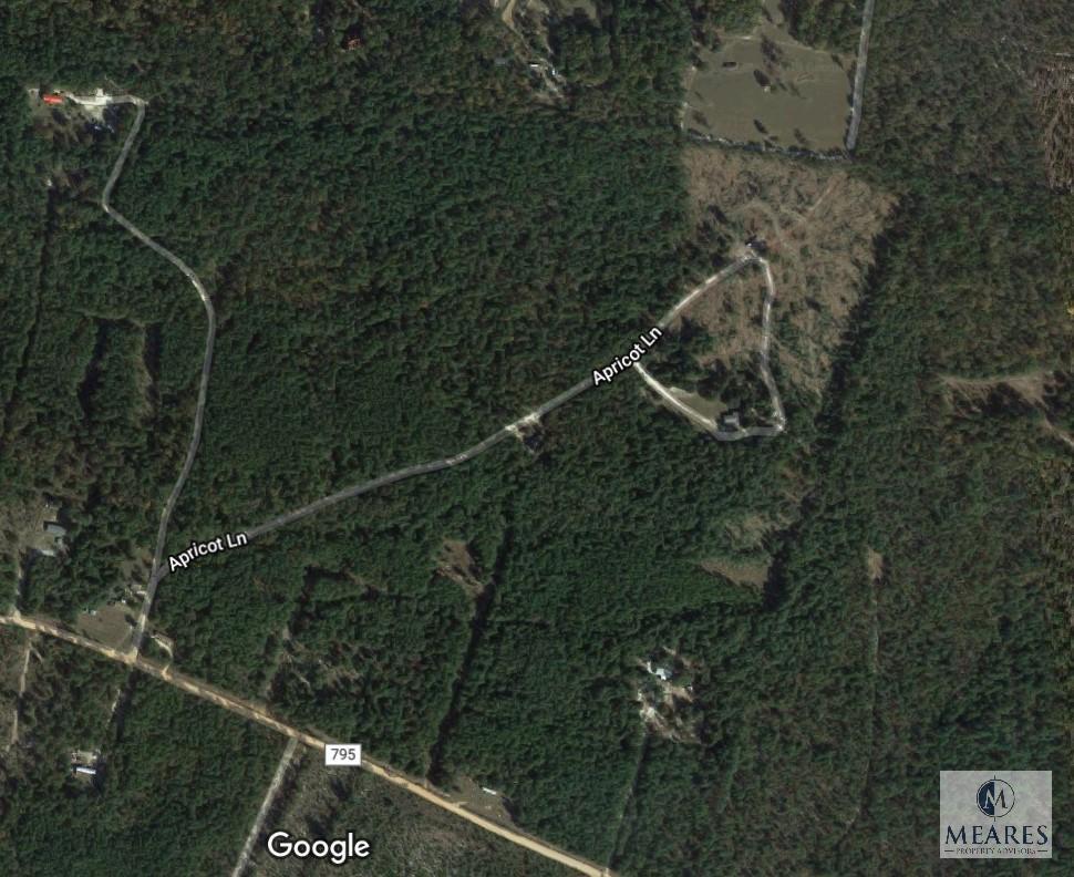 36.71+/- Acres - 302 Apricot Lane, Williston, SC