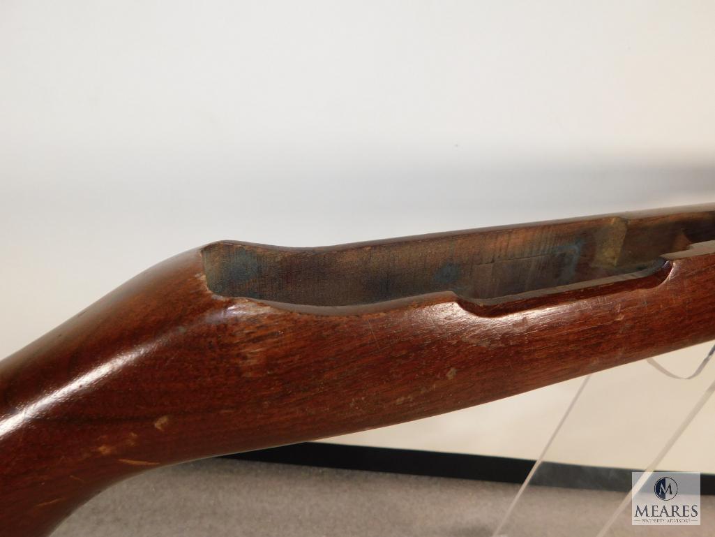 Ruger 10/22 Rifle Stock