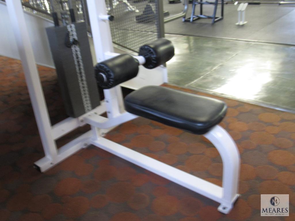 Nautilus Weight Machine Biceps Back Shoulder Muscles