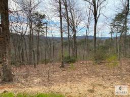 Cliffs Valley - Absolute Auction - 19 Timbers Edge Way, Travelers Rest, SC