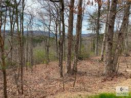 Cliffs Valley - Absolute Auction - 19 Timbers Edge Way, Travelers Rest, SC