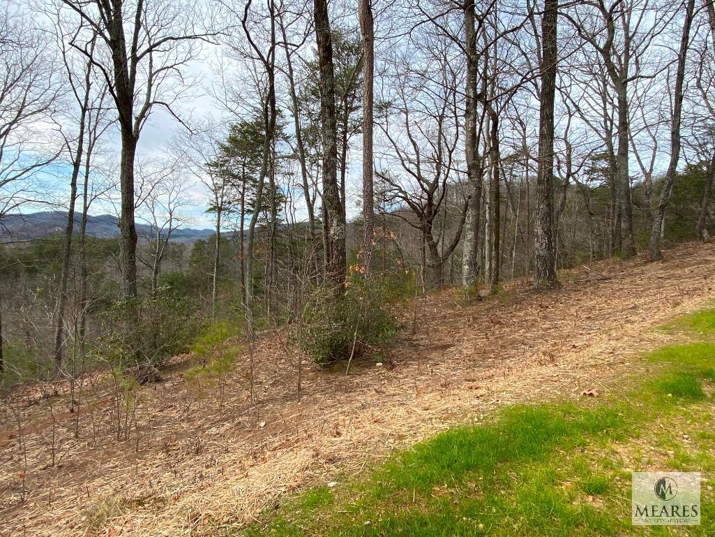 Cliffs Valley - Absolute Auction - 19 Timbers Edge Way, Travelers Rest, SC