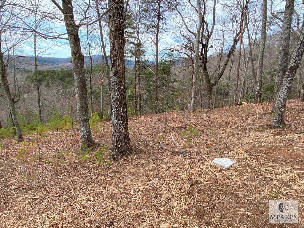 Cliffs Valley - Absolute Auction - 19 Timbers Edge Way, Travelers Rest, SC