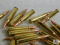 25 rounds new Federal .223 ammunition 55 grain FMJ