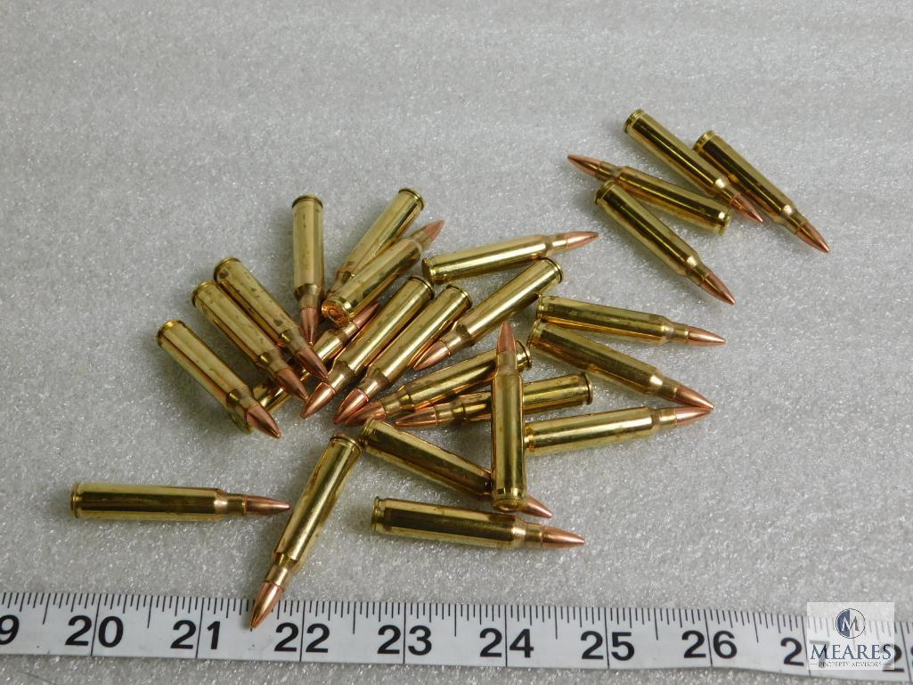 25 rounds new Federal .223 ammunition 55 grain FMJ