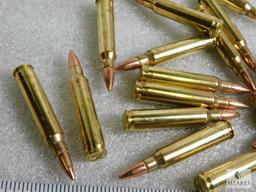 25 rounds new Federal .223 ammunition 55 grain FMJ