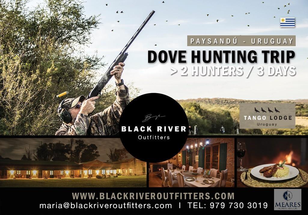 The Largest Dove Roost in the World! Dove Hunting in Uruguay