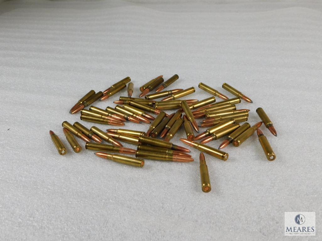 56 Rounds assorted .223 REM Ammo