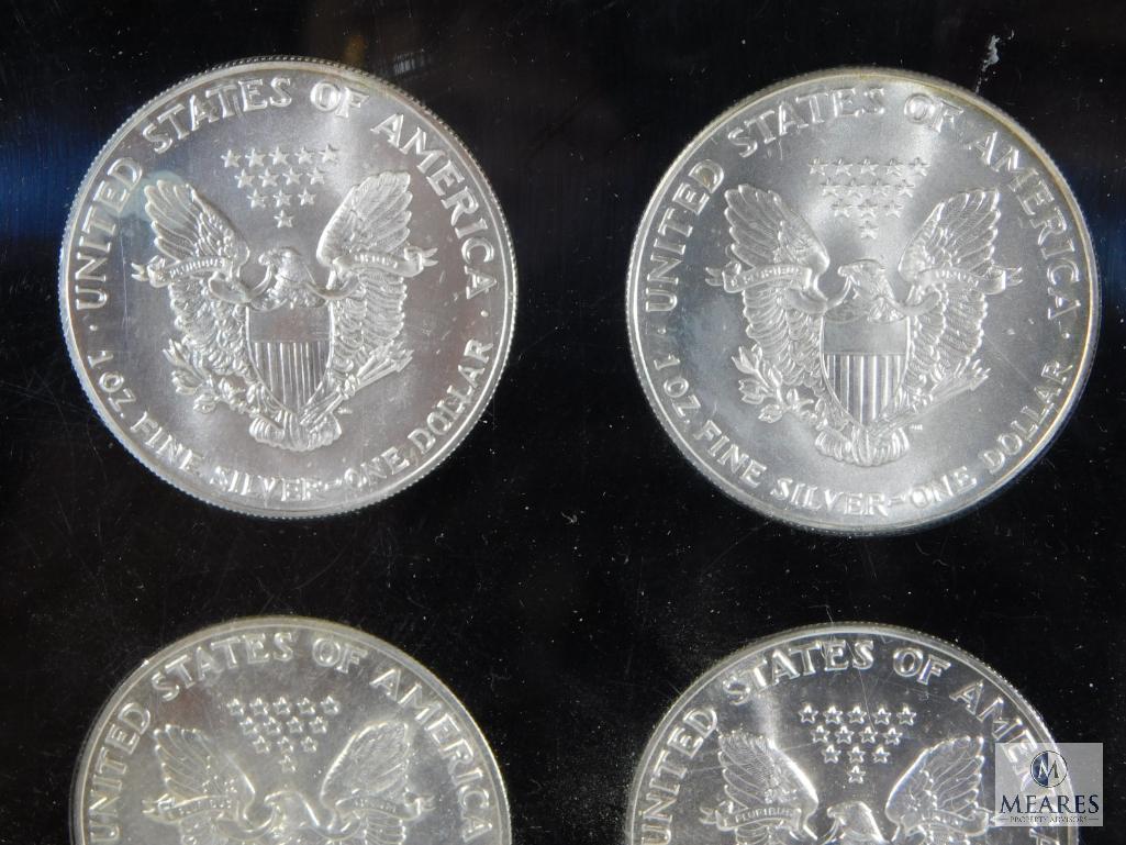 US Silver Eagle Set of Eight Coins - 1986 through 1993