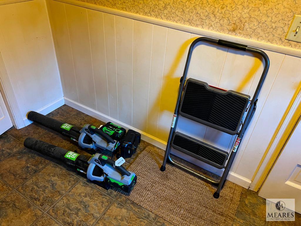 Small Step Ladder and Two Battery-powered Blowers
