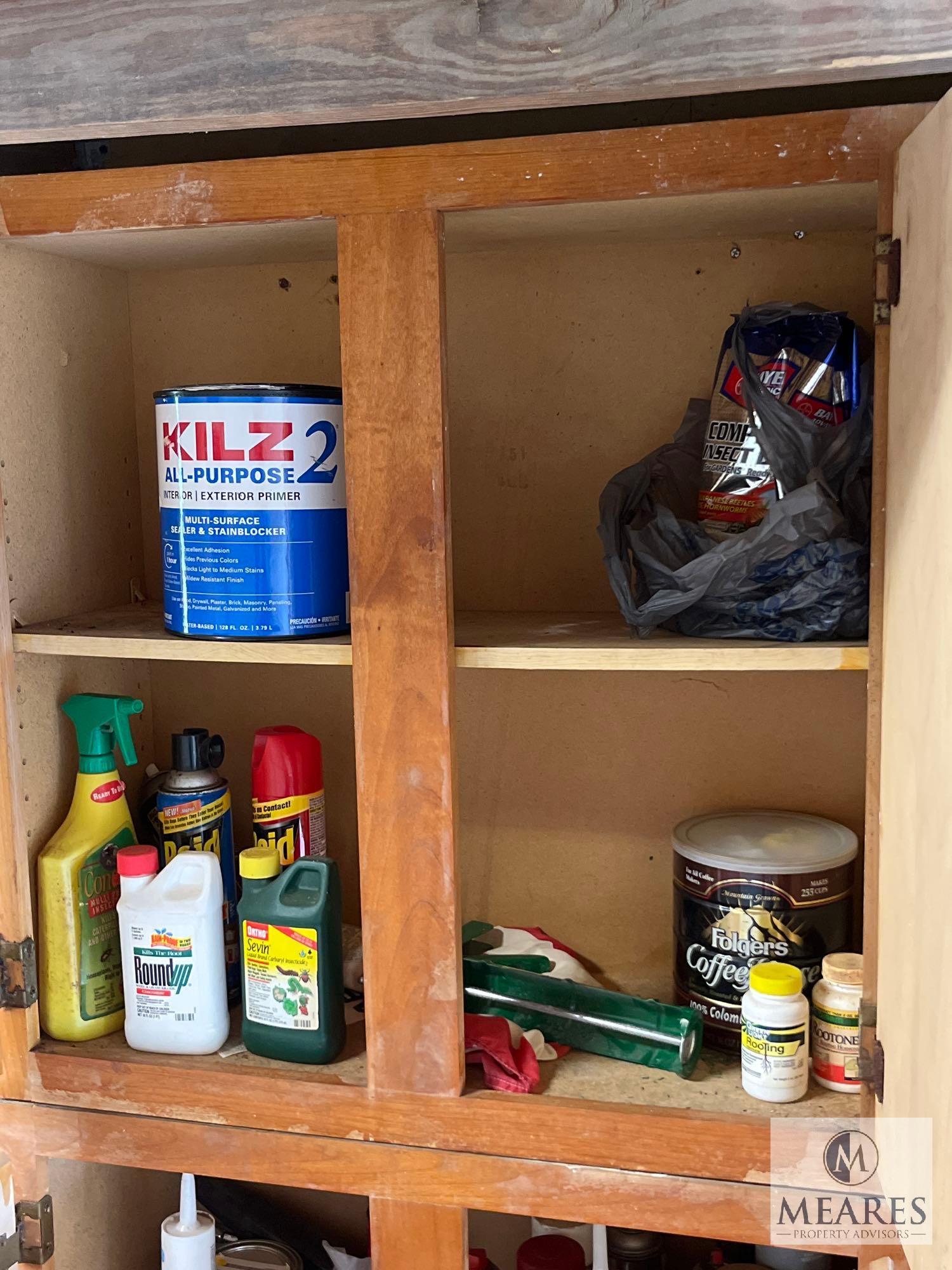 Contents of Storage Cabinets in Garage