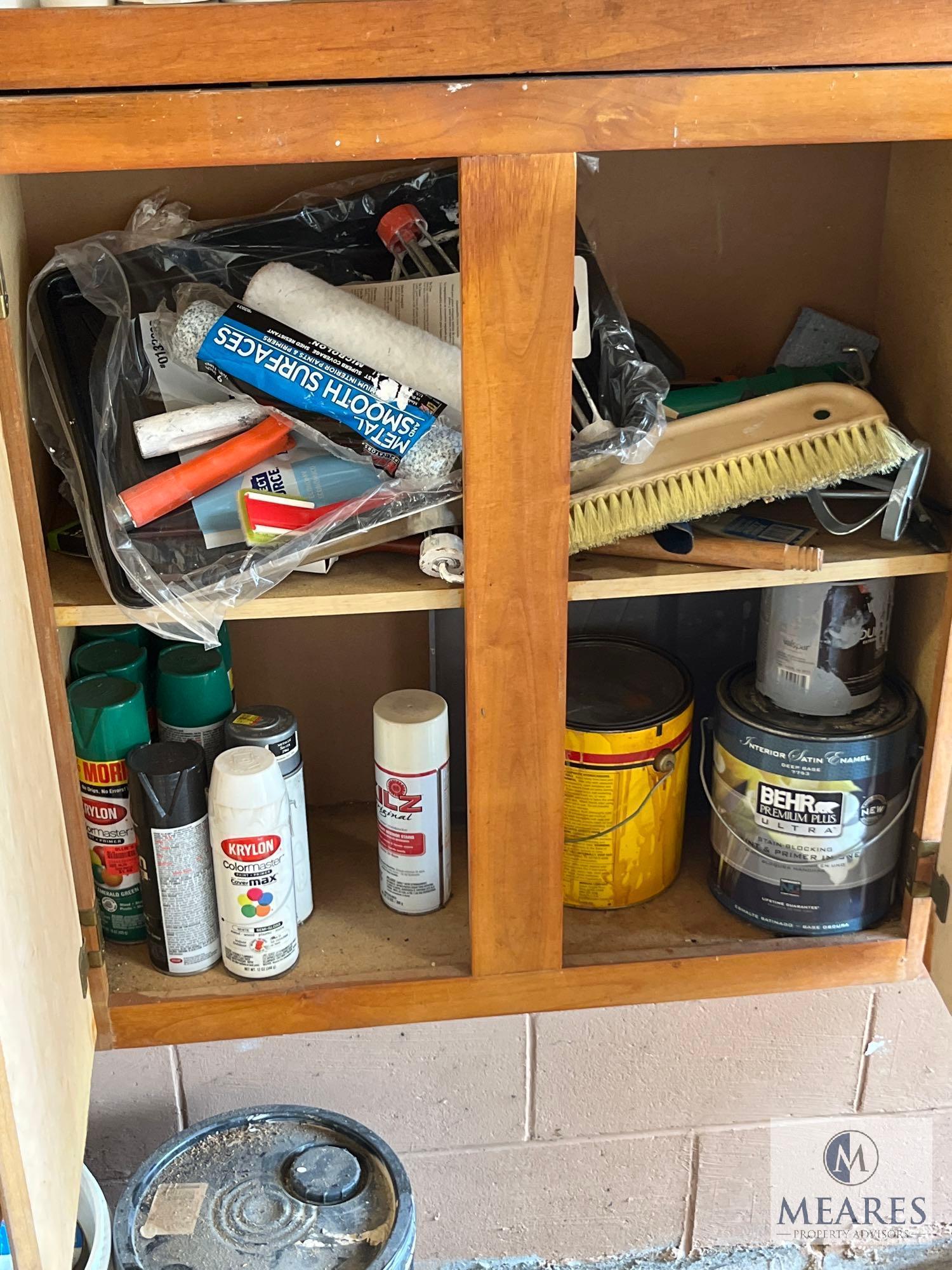 Contents of Storage Cabinets in Garage