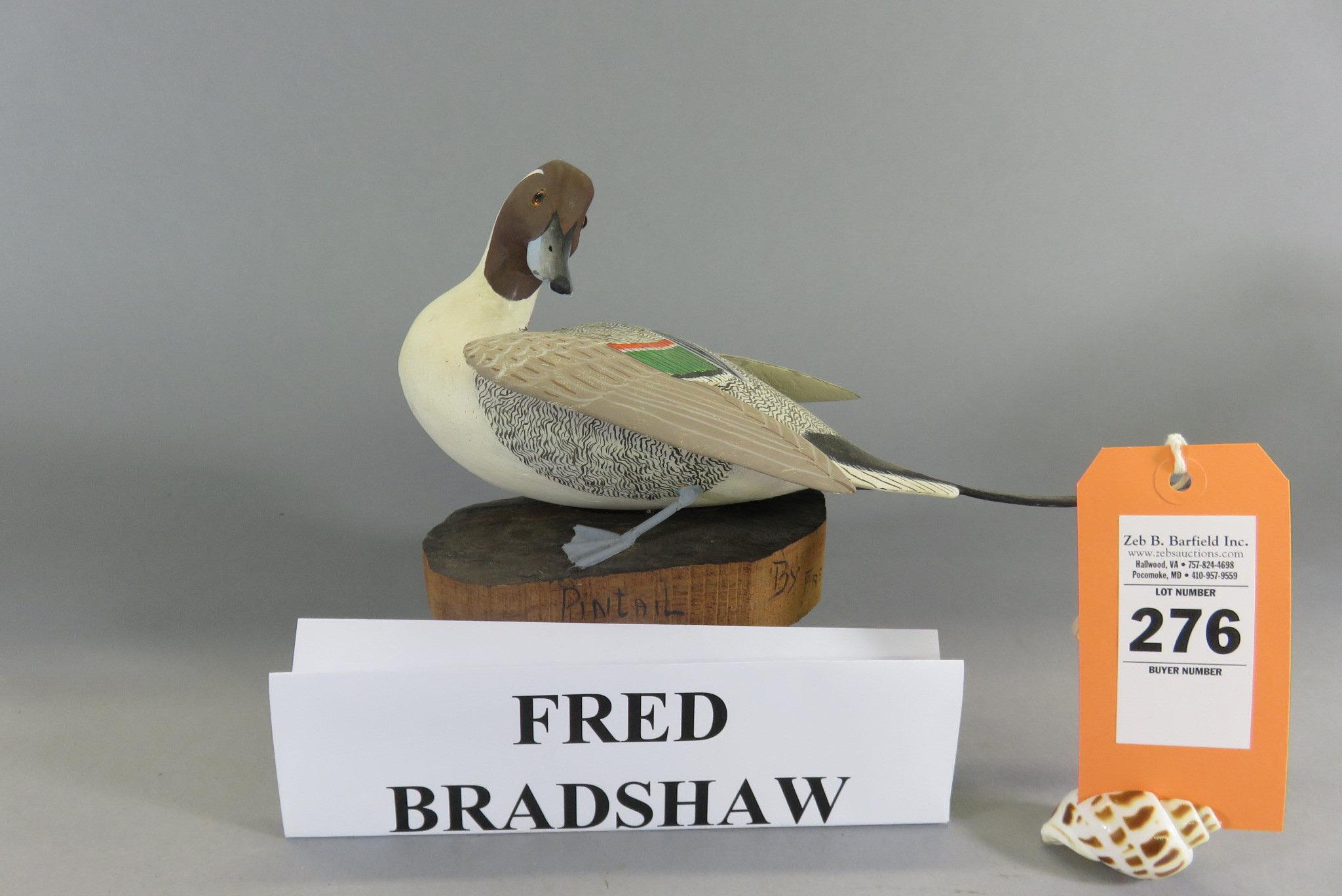 Fred Bradshaw Standing Pintail