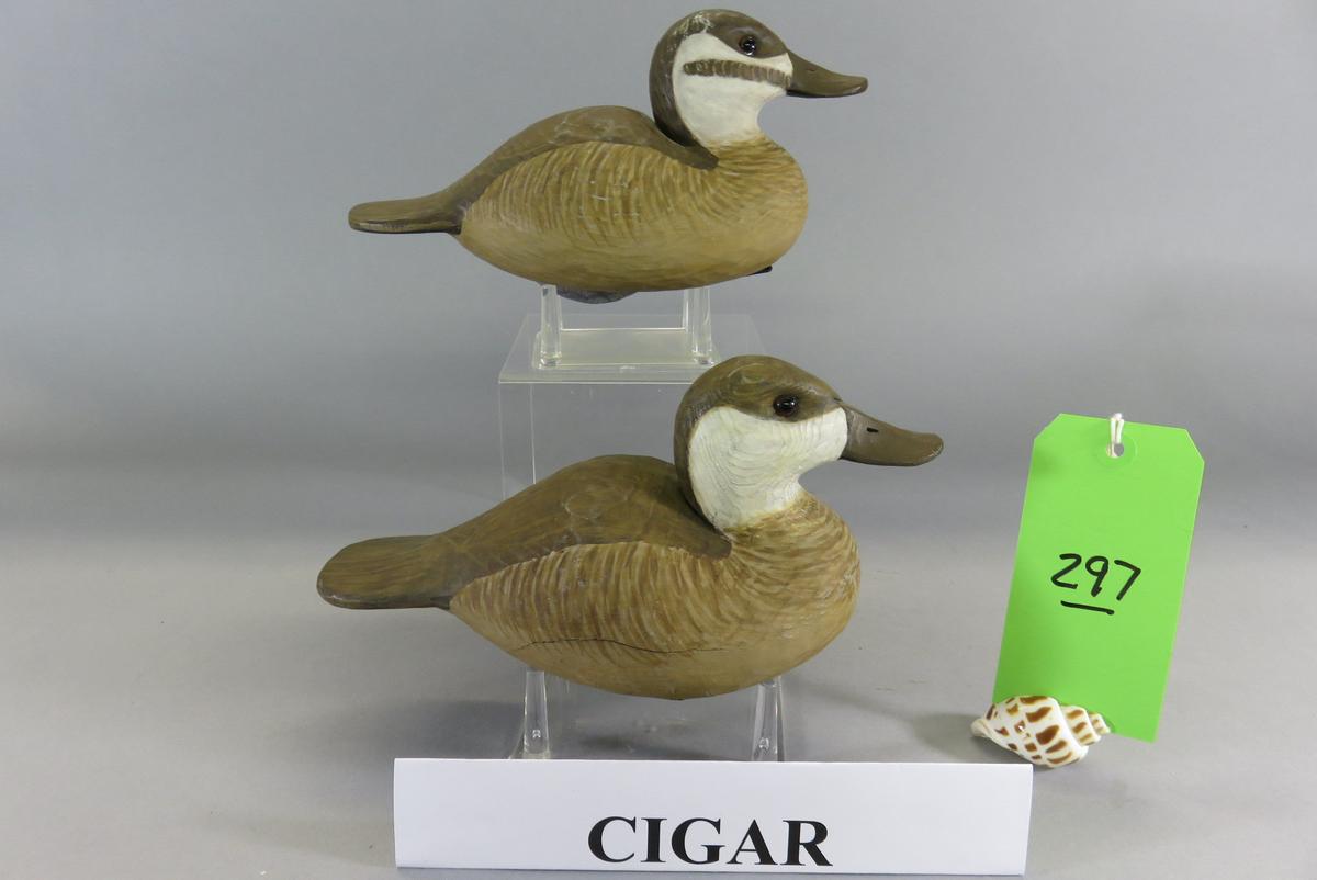 Pr. Cigar Daisey Ruddy Ducks