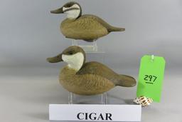 Pr. Cigar Daisey Ruddy Ducks