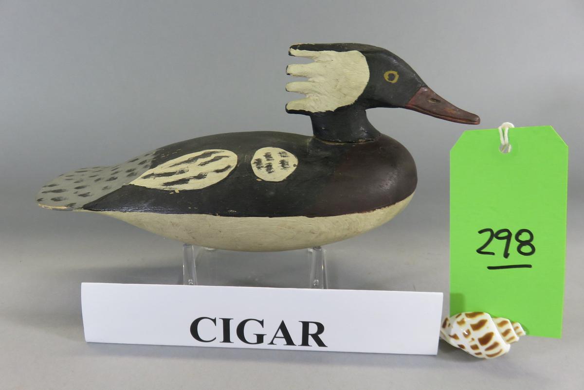 Cigar Daisey Merganser