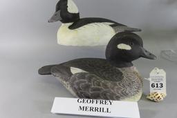 Pr. Geoffrey Merrill Buffleheads