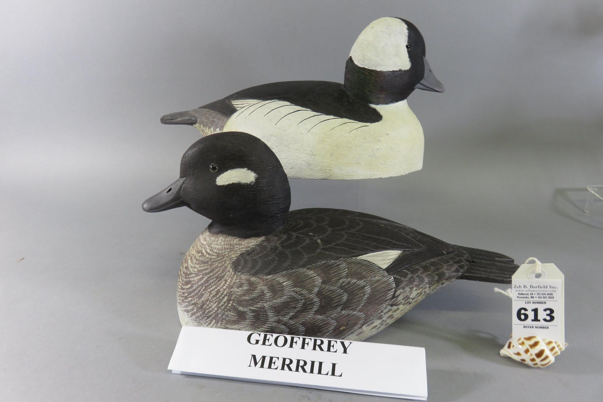 Pr. Geoffrey Merrill Buffleheads