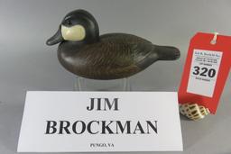 Jim Brockman Ruddy Duck