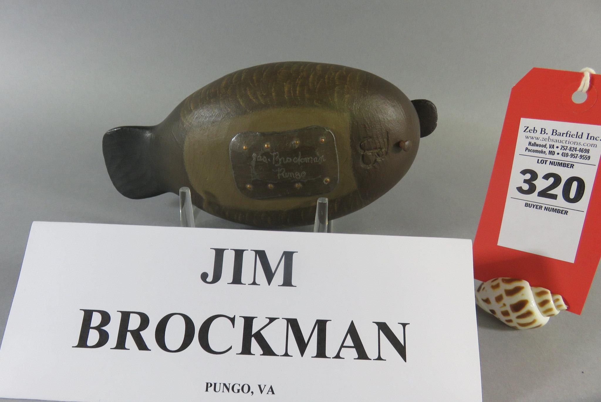 Jim Brockman Ruddy Duck