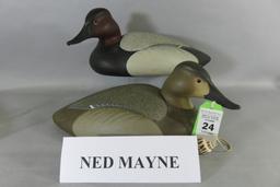 Pr. Ned Mayne Canvasbacks