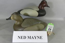 Pr. Ned Mayne Canvasbacks