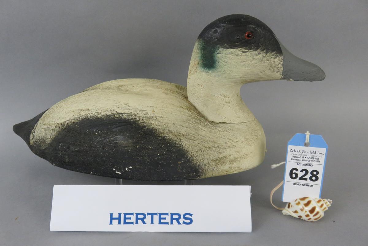 Herters Eider