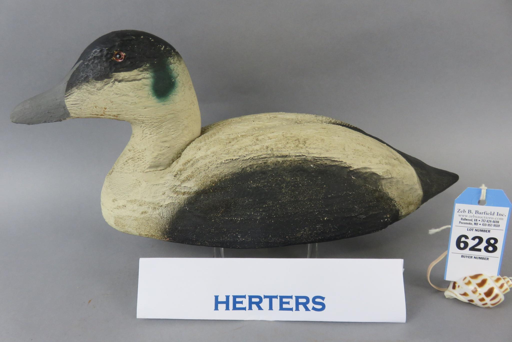 Herters Eider